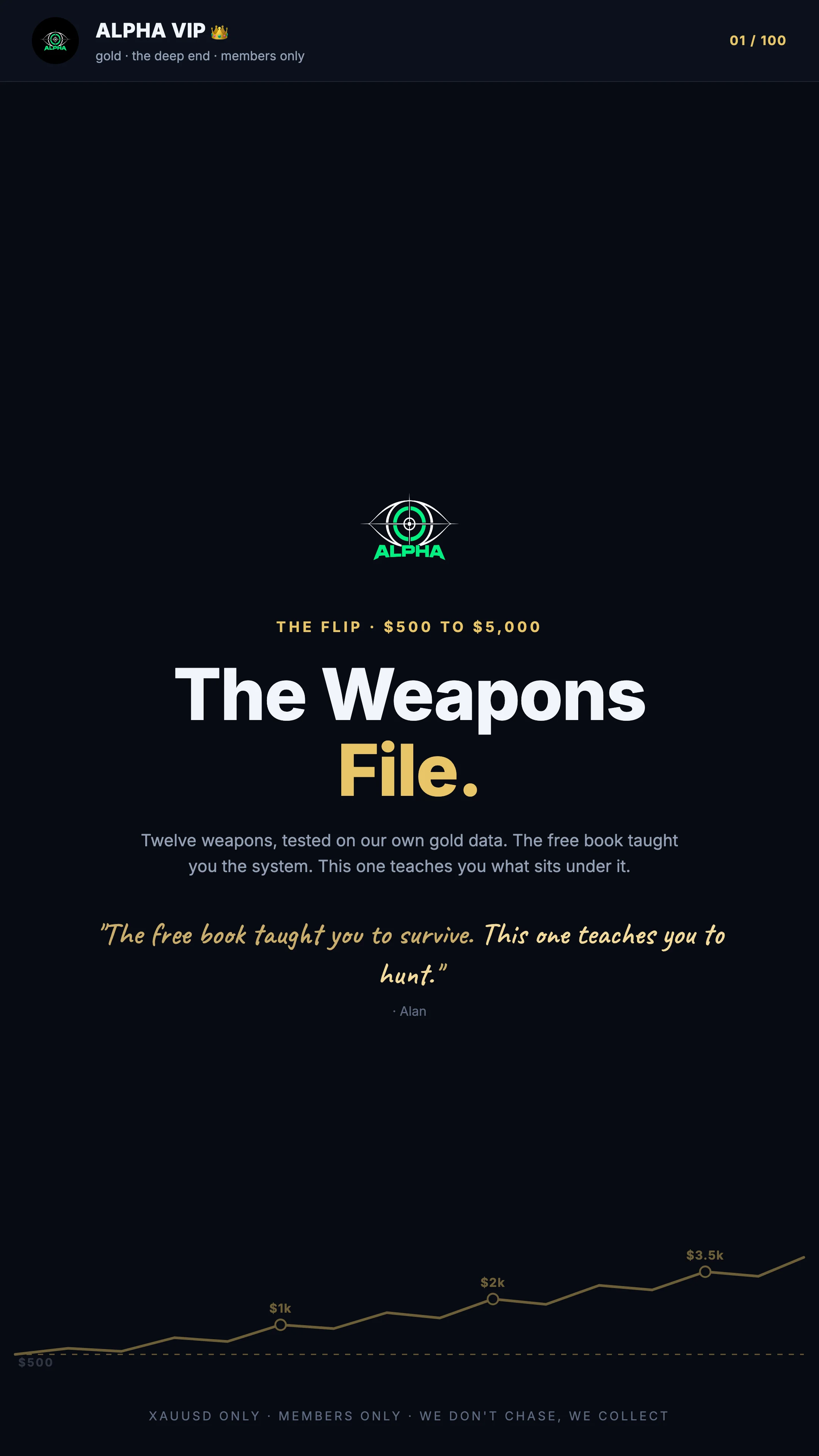 The Weapons File, cover. 100 pages.